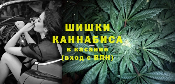 прущие грибы Алзамай
