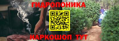 крисы Ленинск-Кузнецкий